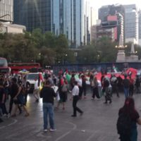 “Es genocidio, no es una guerra”: Exigen el cese al fuego contra la población palestina
