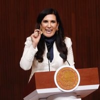 Discusión de la reforma electoral pondrá a prueba valores constitucionales, advierte López Rabadán