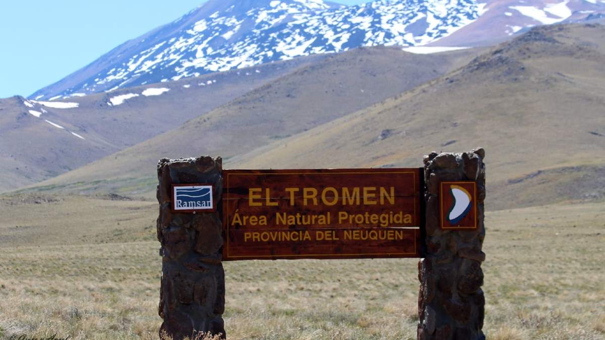 La Laguna Tromen está ubicada en el área protegida homónima en el norte de Neuquén. Fuente: (Twitter)