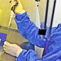 Río Negro: seis nuevos casos de coronavirus y un paciente fallecido