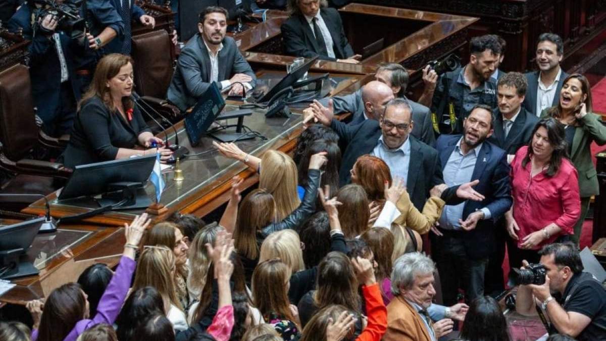 Cámara de Diputados de la Nación. Fuente: (Twitter)
