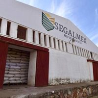 Hay 22 denuncias en la FGR por casos de corrupción en Segalmex
