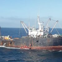 Pesca ilegal: detectan unos 100 buques extranjeros en el mar argentino