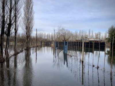Elías Sapag cuestionó que la Isla El Porvenir sea habitada: "Es parte del río"