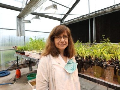 Del Conicet al mundo: el prestigioso premio que recibió una investigadora argentina