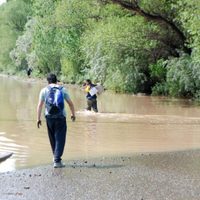 A raíz del temporal, algunos barrios de Cipolletti quedaron inundados