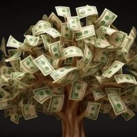 La planta que muchos eligen para que el dinero nunca falte en casa: mirá cómo cultivarla