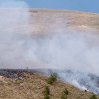 Bomberos lucharon contra un incendio en un bosque de Corfone, en Junín de los Andes