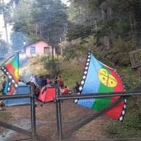 Ordenan a comunidad mapuche a entregar tierras reclamadas por Emmanuel Ginóbili
