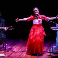 María San Felipe, emotiva bohemia de versos y trova (Videos)