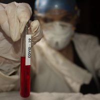 Coronavirus en el mundo: para la OMS, este es el verdadero origen de la temida enfermedad