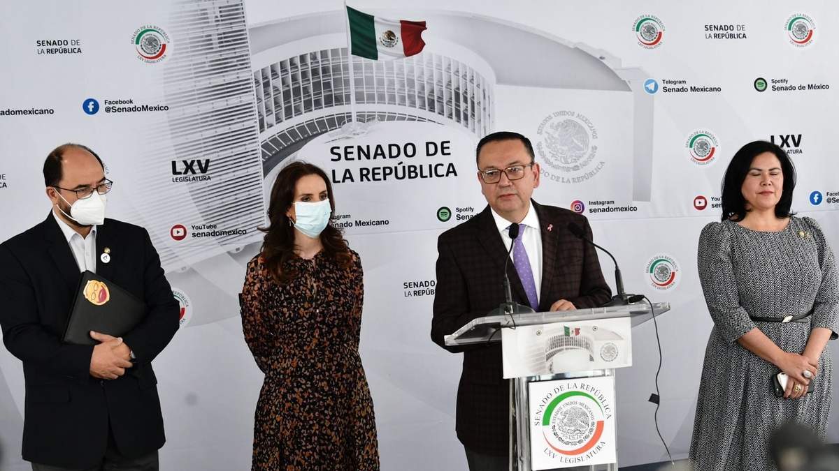 Conferencia del grupo plural del Senado