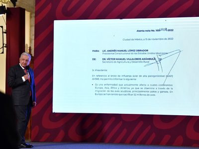 Brote de gripe aviar no pone en riesgo a las personas ni la producción nacional: AMLO