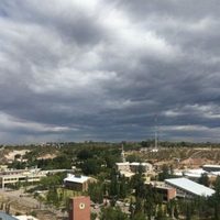 Clima en Neuquén: qué dice el pronóstico del tiempo para este domingo