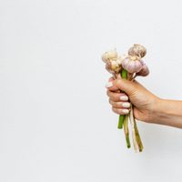 El poderoso insecticida de ajo que protegerá tus plantas