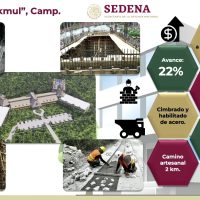 Filete en la selva y Silencio de las instituciones protectoras