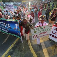Mineras, depredadoras en tiempos de la pandemia