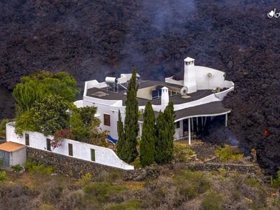 “Están bien”: un misterioso grupo se adelantó a los drones y rescató a los perros atrapados en La Palma