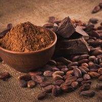 La peor crisis del cacao en décadas podría beneficiar a los productores latinoamericanos