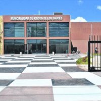 Cuatro candidatos en nueve listas competirán por la intendencia de Rincón de los Sauces