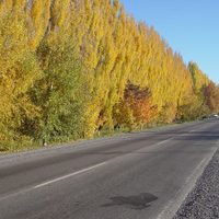 Por amparo colectivo de Río Negro, Vialidad Nacional deberá reparar la Ruta 151
