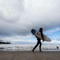 Cierran popular playa de California después de que un tiburón derribó a un surfista de su tabla