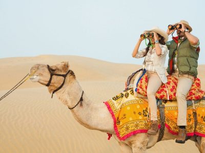 En Egipto, prohibirían los paseos en camellos para el turismo