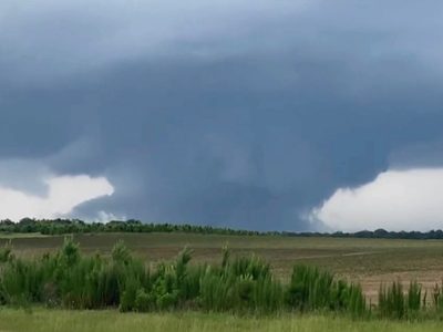 Fuertes vientos y posibles tornados derriban árboles y causan daños de Texas a Georgia (Video)