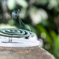 ANMAT prohibió la venta de estos espirales y tabletas para mosquitos por falta de autorización
