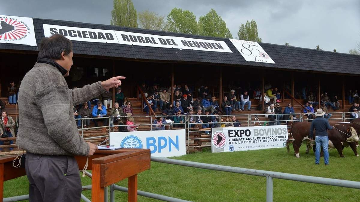 Exposición de Bovinos en Junín de los Andes. Fuente: (Twitter)