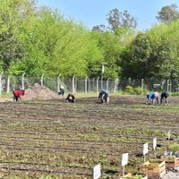 Crean una huerta orgánica municipal en una localidad bonaerense