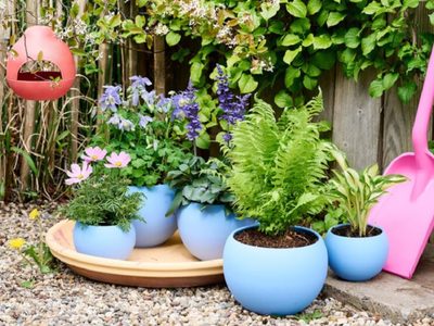 Qué pasa si ponés un palito de madera con cobre en tus plantas: el secreto de los jardineros que no conocías