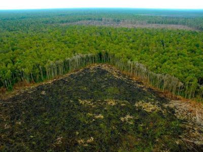 Ante la ONU, Petro critica hipocresía en la lucha contra las drogas