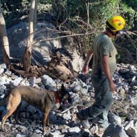Desbordamiento del arroyo El Jacolote deja siete muertos y nueve desaparecidos en Autlán de Navarro