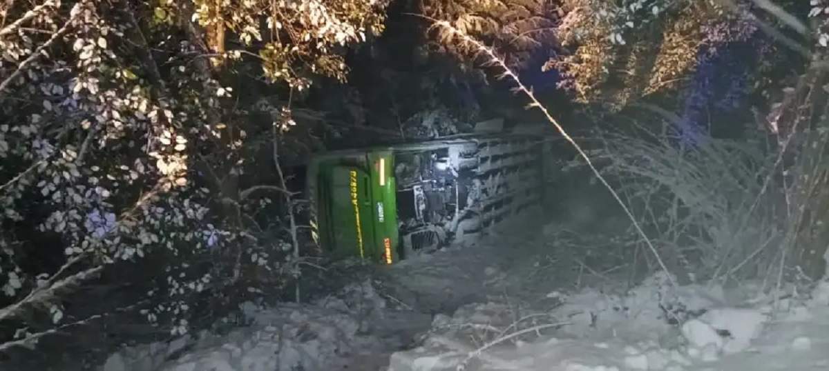 Colectivo volcó cerca de Villa La Angostura. Fuente: RSM