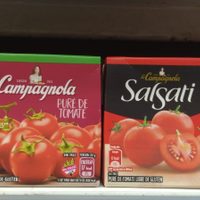 Con cajas de puré de tomate vacías y sin gastar un peso: creá este proyecto para tus mini suculentas