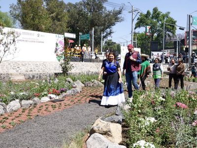 Jardín de Lluvia Coapan no responde a demanda de acceso a agua: Asamblea Vecinal Tlalpan Coyoacán