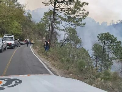 Camioneta cae en un barranco en Nuevo León y se incendia; mueren al menos 12 personas