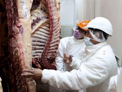 La Federación de la Carne acordó un 60% de aumento en salarios y exigen guarderías en frigoríficos