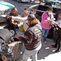 Rescatan a 12 perros maltratados en una casa de la alcaldía Gustavo A. Madero