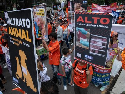 Marcha Nacional por el derecho de los animales en la CDMX