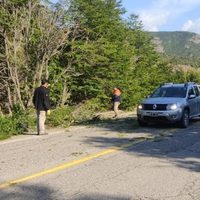Personal de Vialidad Nacional realiza tareas de mantenimiento sobre la Ruta Nacional 40