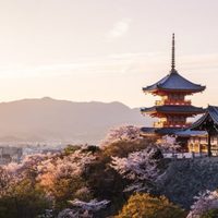 Japón regala viviendas abandonadas para quienes quieran mudarse