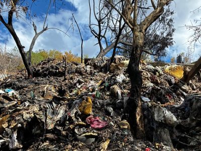 Evocan memoria de Francisco Toledo tras incendio en basurero clandestino en San Agustín Etla, Oaxaca