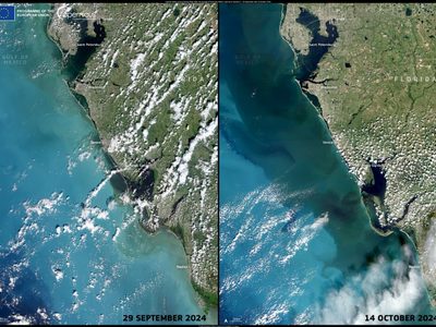 Copernicus elige como imagen del día la costa oeste de Florida antes y después del huracán 'Milton'