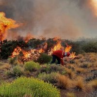 No pueden controlar el incendio en Loncopué
