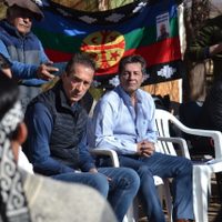 Comunidades mapuche cuestionaron al Gobierno tras un breve encuentro con el ministro Jorge Tobares