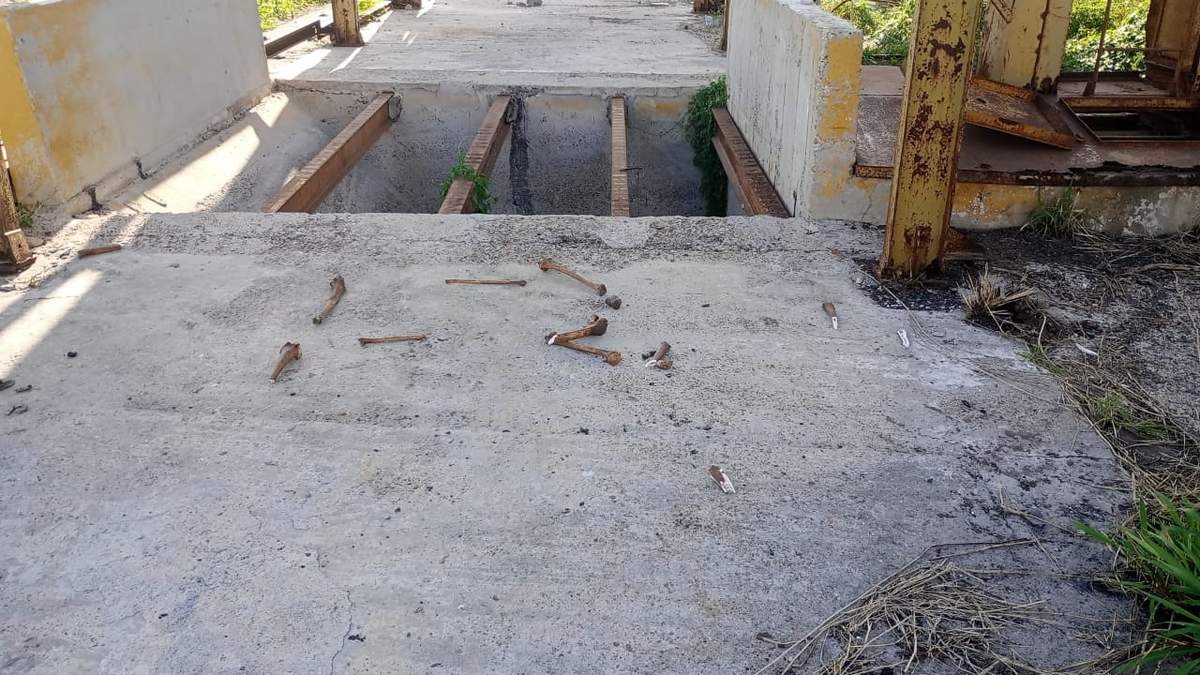 Hallazgo de restos humanos