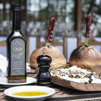 Aceite de oliva mendocino, elegido entre los mejores del mundo