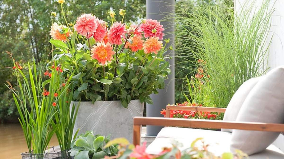 Planta. Fuente: (X)